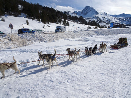 Grandvalira Skigebiet, Andorra, Husky Schlittenhunde