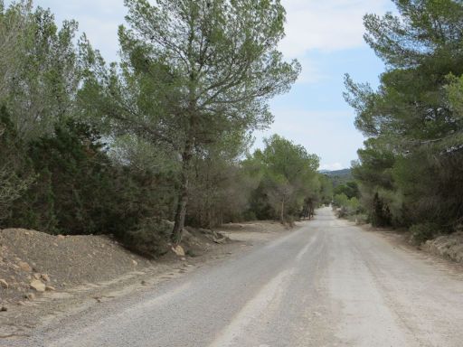 unbefestigte Landstraße auf der Insel Ibiza