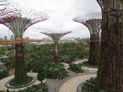 Gardens by the Bay, Singapore, Supertree Grove