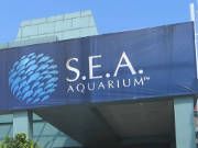 Resorts World™ S.E.A Aquarium™, Singapore, Eingang
