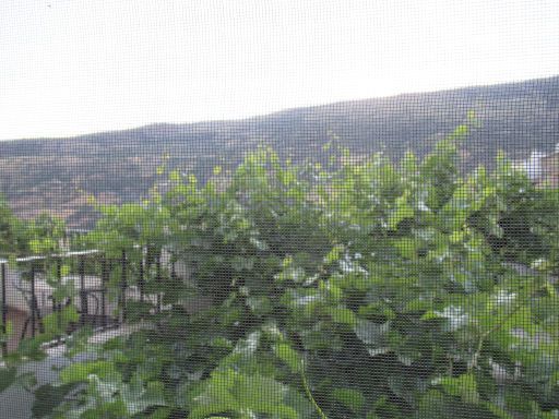 Hotel Finca Los Llanos, Capileira, Spanien, Zimmer 208 mit Blick durch Fliegengitter in die Landschaft