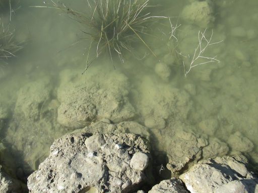 XIII Travesía a nado, 2024, Stausee Los Bermejales, Schwimmwettbewerb, Arenas del Rey, Granada, Spanien, Wasser und Wassertemperatur