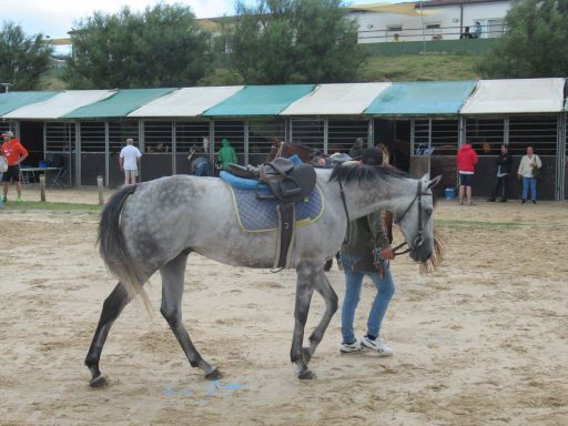 Pferderennen Derby de Loredo 2024, Loredo, Spanien, Reitplatz und provisorische Perdeboxen