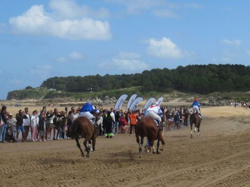 Pferderennen Derby de Loredo 2024, Loredo, Spanien, Rennen Richtung Ziel