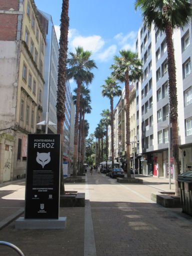 Pontevedra, Spanien, Straße mit hohen Palmen