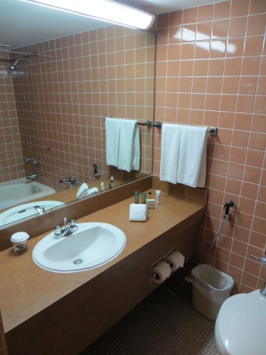 Hilton Ras Al Khaimah Hotel, Ras Al Khaimah, Vereinigte Arabische Emirate, Bad mit Waschtisch und WC