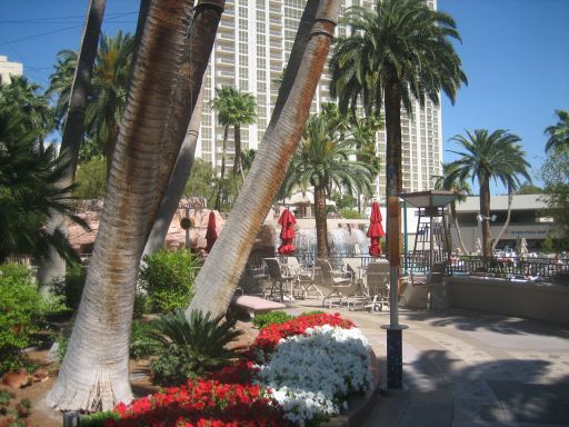 MGM Grand, Las Vegas, Nevada, USA, Swimming Pool Umgebung